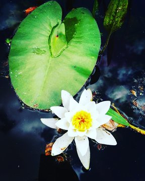 彩民购彩温馨画面